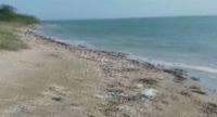 Plastic Pellets Invade Sri Lankan Shores